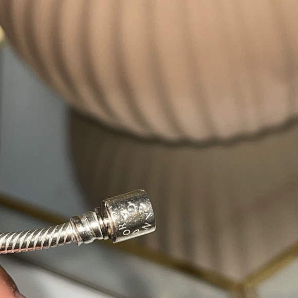 Pandora Jewelry - Pandora charm bracelet